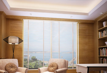 Venatian Blinds